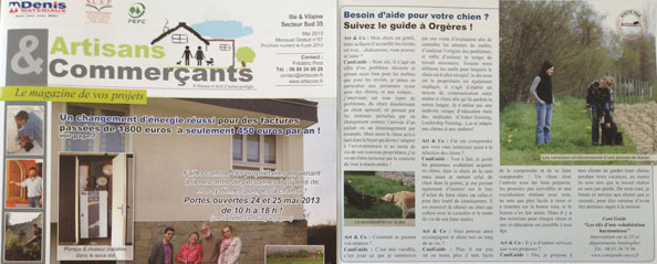 article-dressge-chien-petit