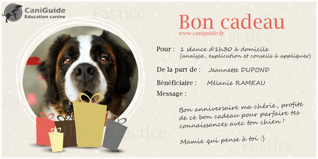 Bon Cadeau D Education Canine Caniguide Bon Cadeau D Education Canine Caniguide