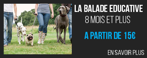 ballade-educative-15e