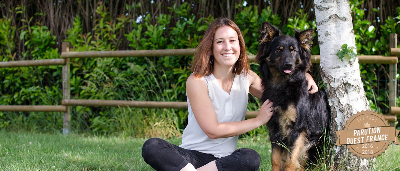 Education canine Rennes & alentours Ille-et-vilaine