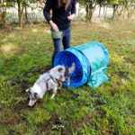 hoopers-tunnel-education-canine